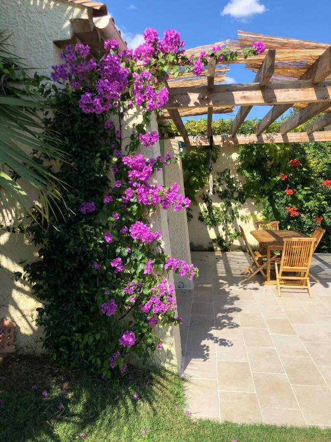 מרסיי Villa D'Architecte Avec Piscine Et Grand Jardin מראה חיצוני תמונה